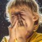Garçon éternue parce qu’il est allergique à la poussière